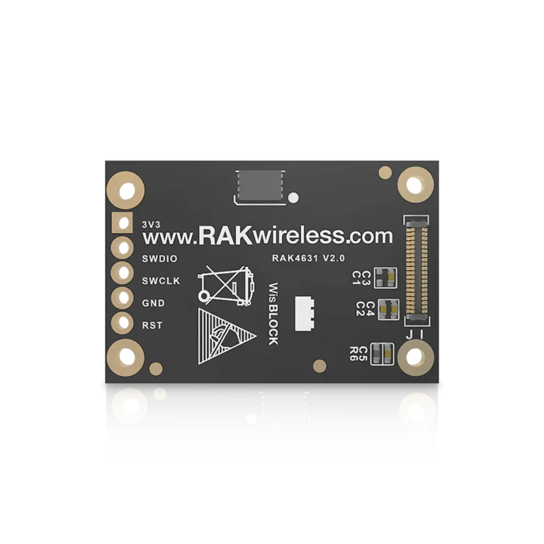 closeup of RAK module 115000